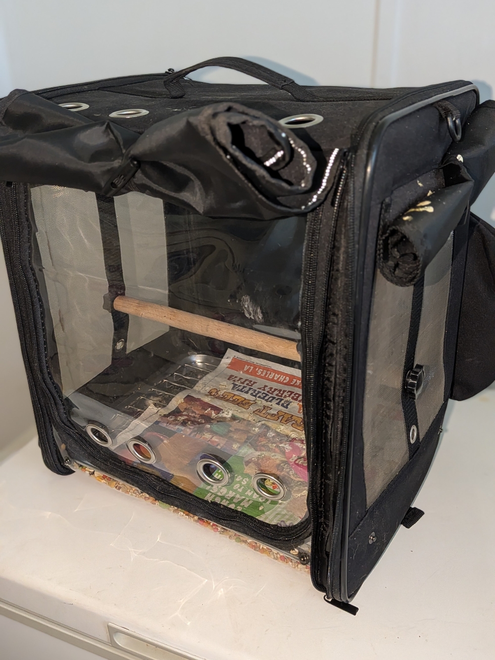 Black Transparent Small Pet Carrier Cube - Portable Small Pets Carrier